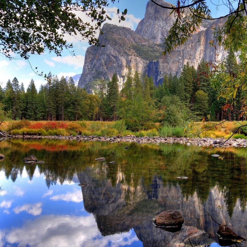 Лес и озеро у скал