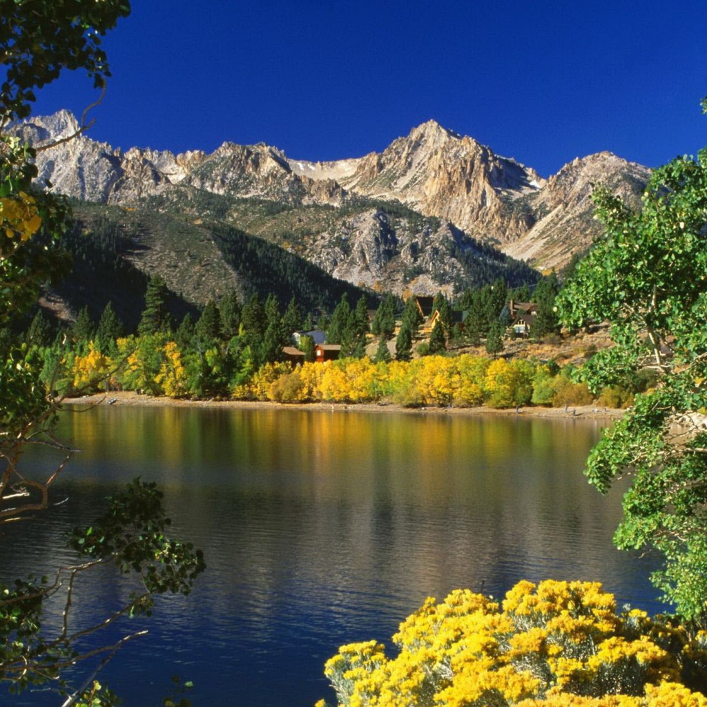 Озеро и деревья