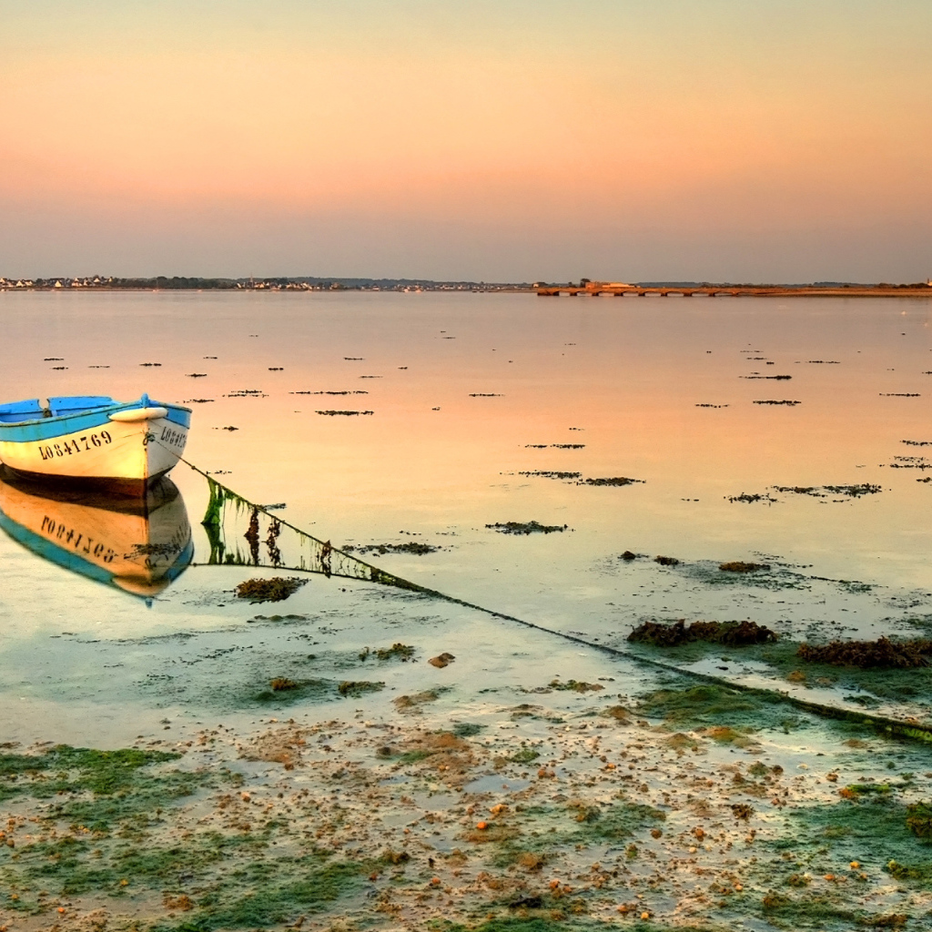 Озеро заросло водорослями