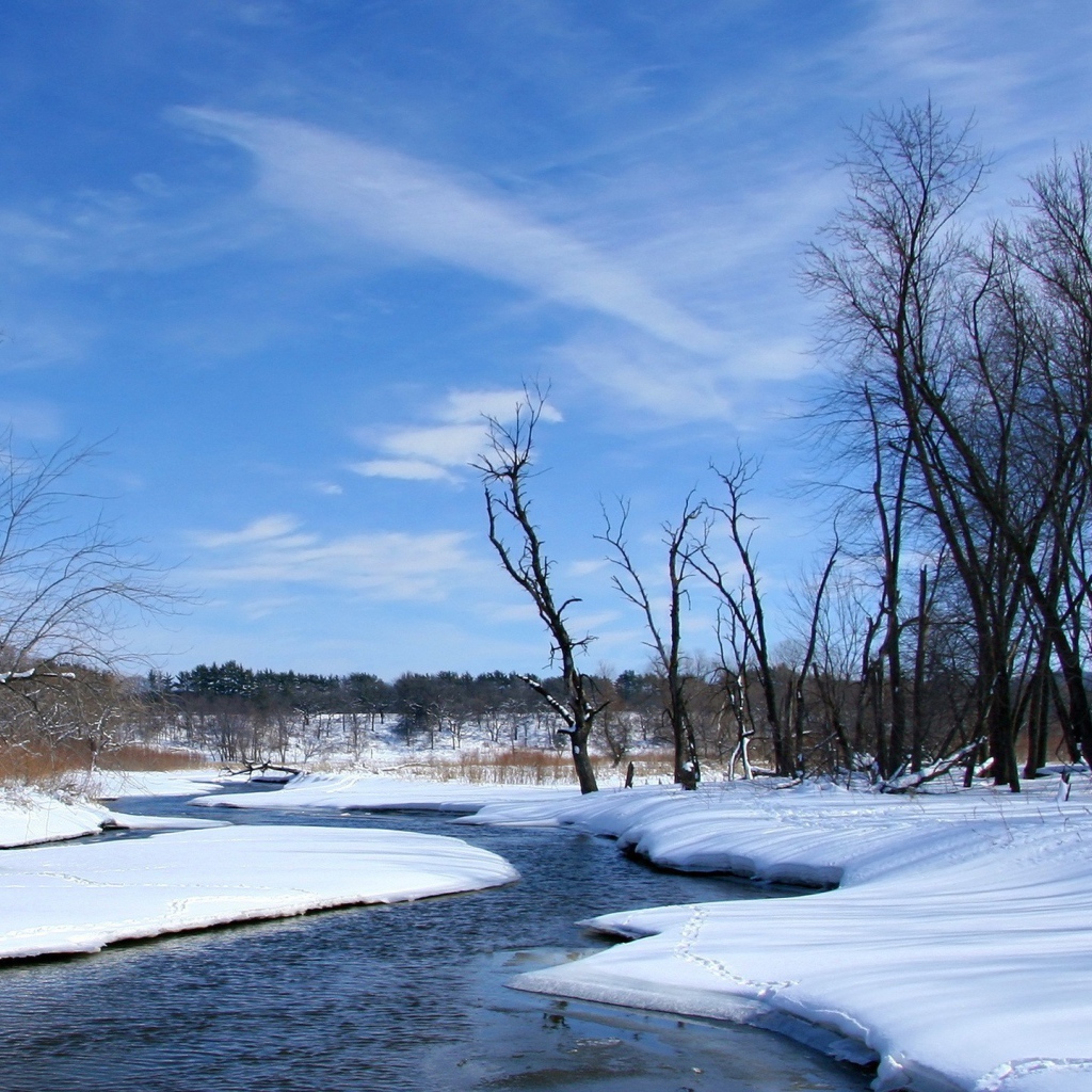 Снег на берегу реки