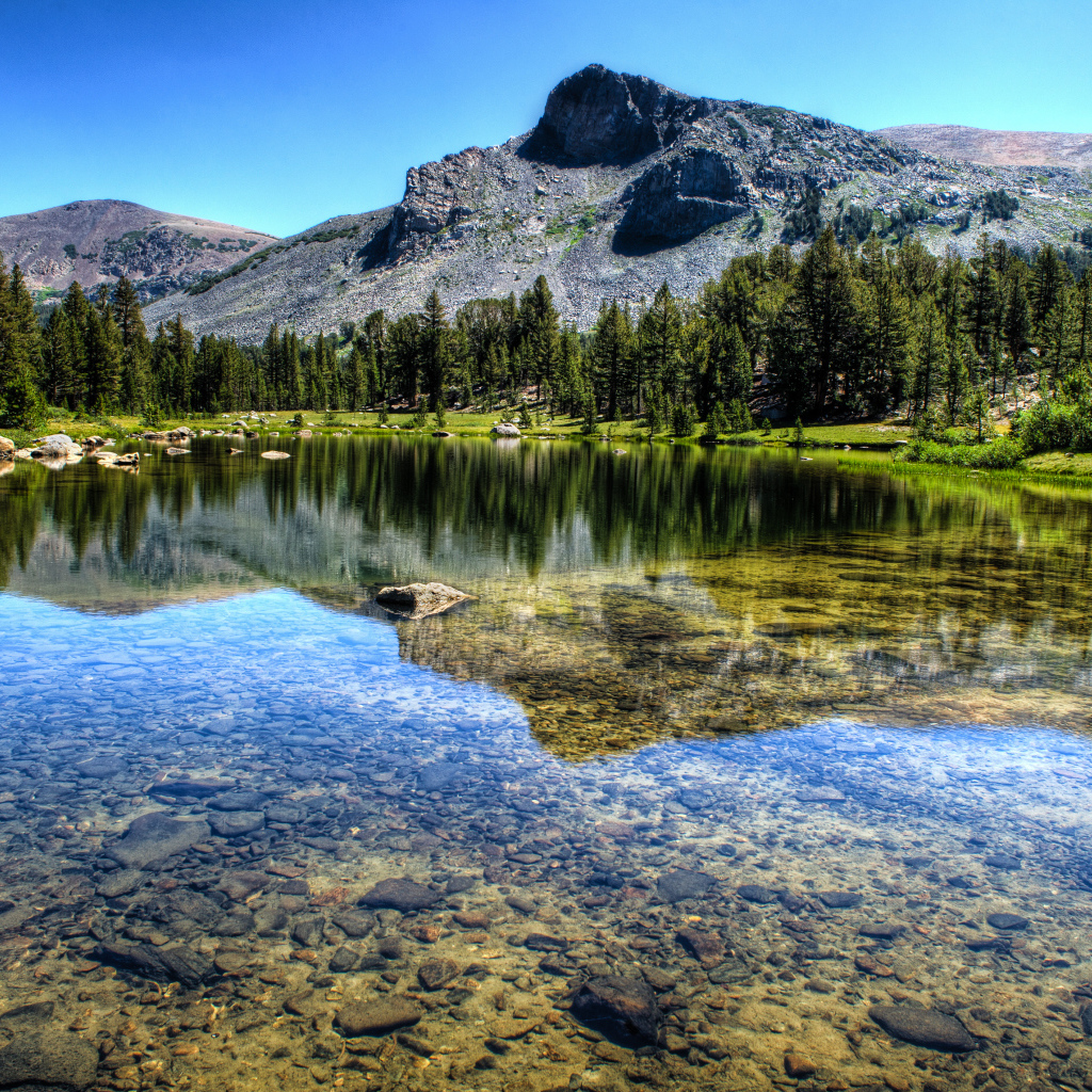 Прозрачная река