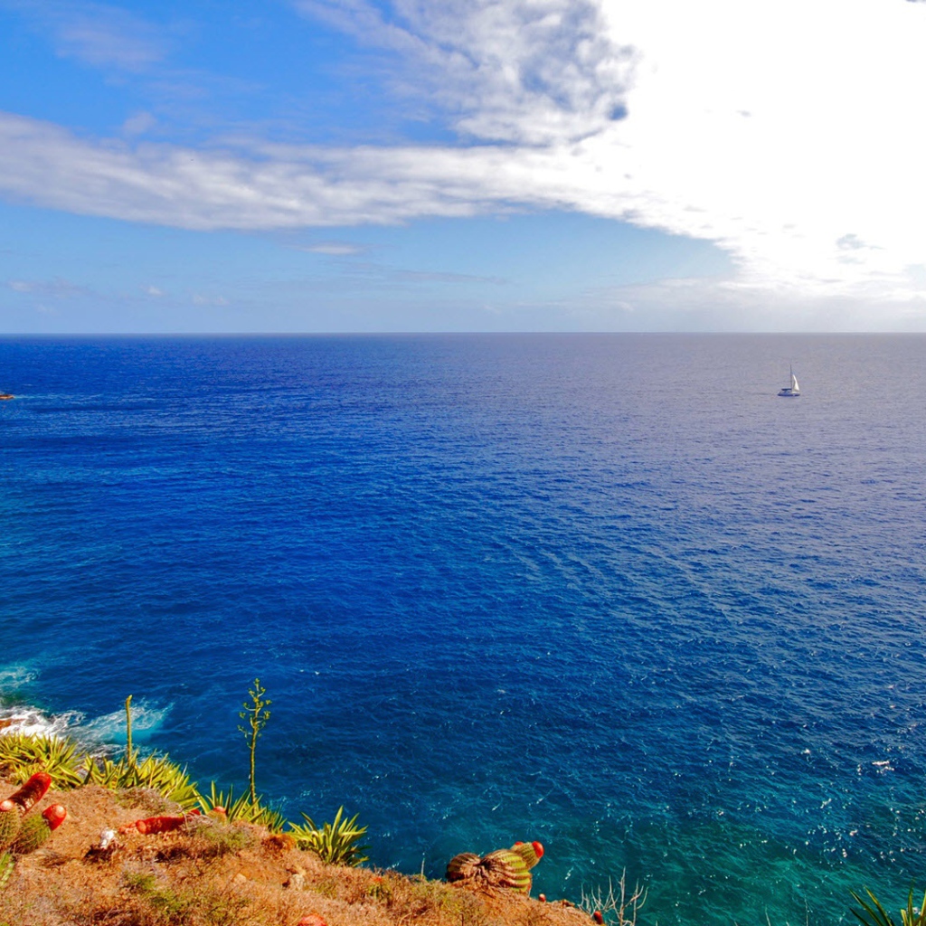 Одиночество в море