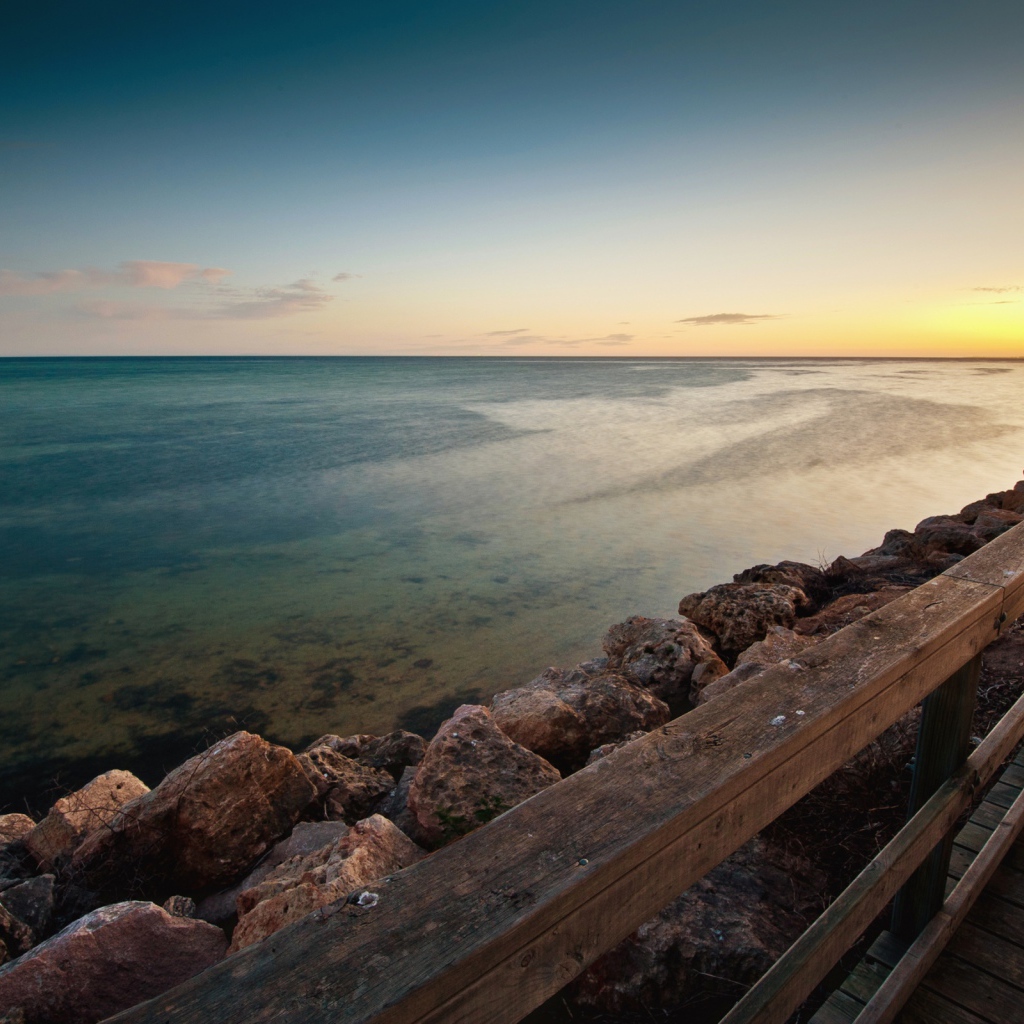 Пляж моллюсков