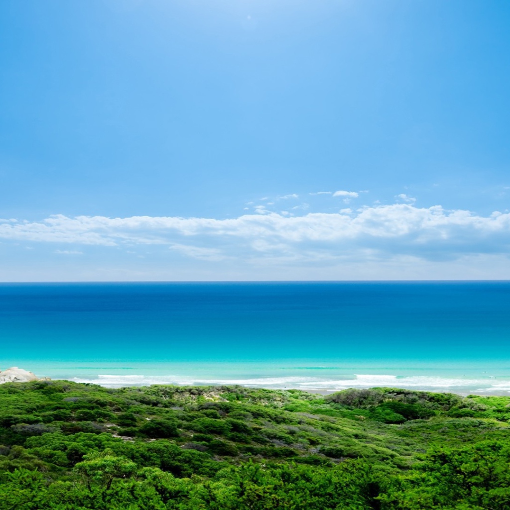 Зеленый берег и голубое море