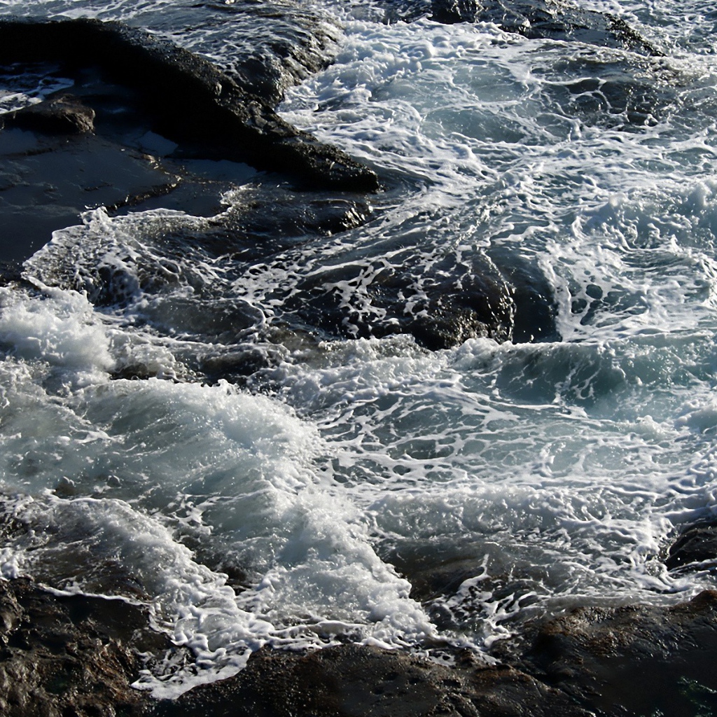 Бушующее  море у берега