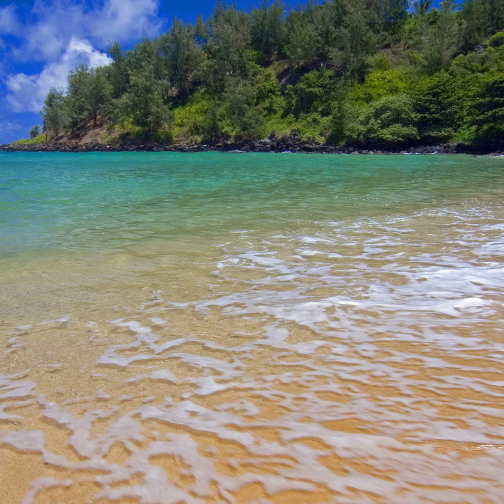 Волны прилива