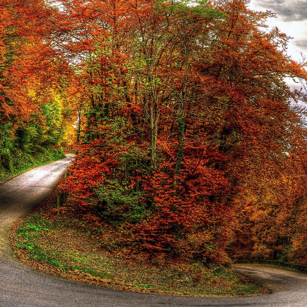 Осень на горной дороге