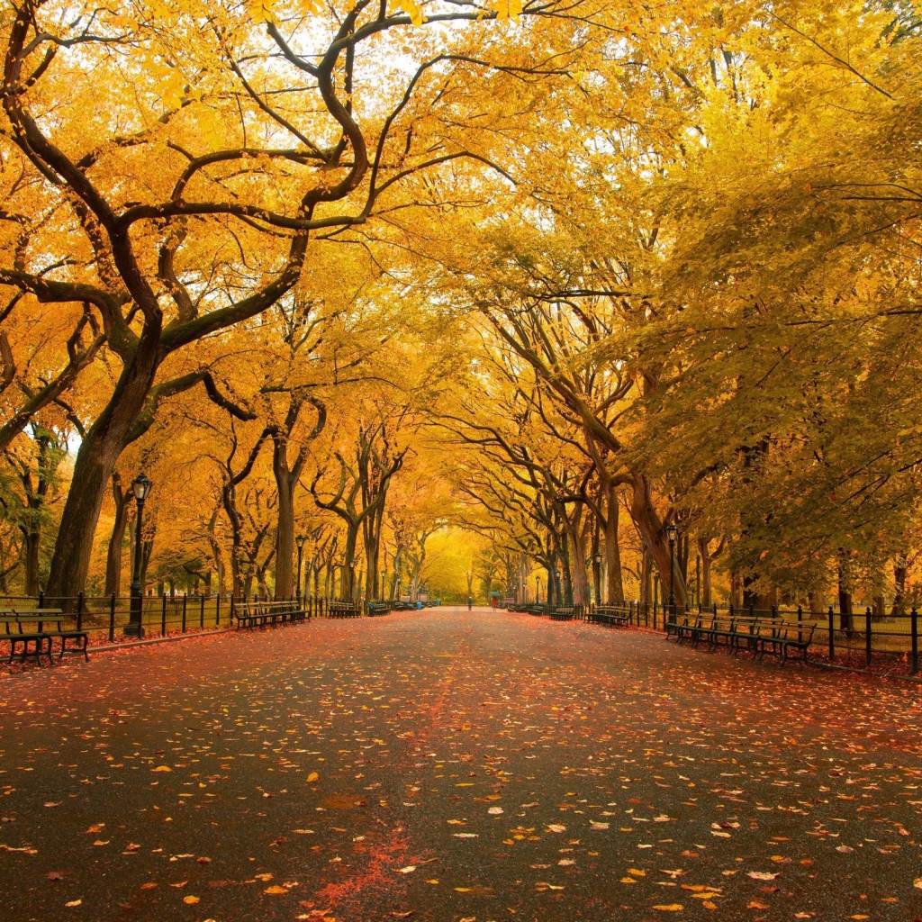 Парк в Нью Йорке