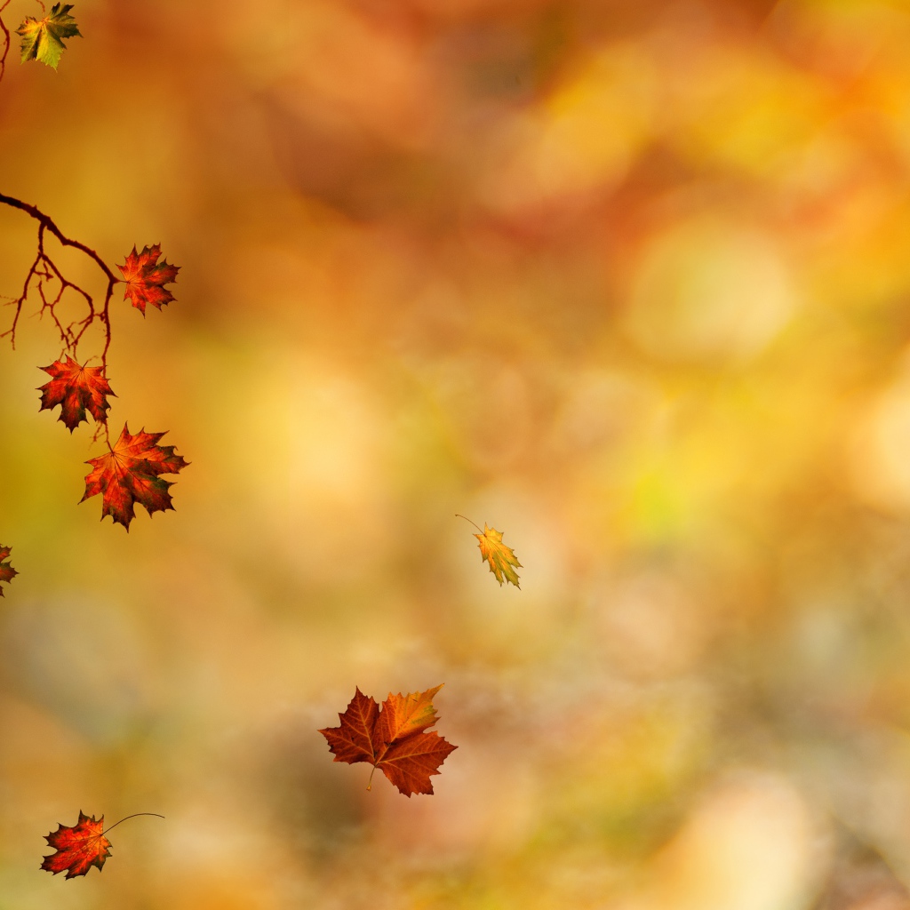 Листья падают на землю
