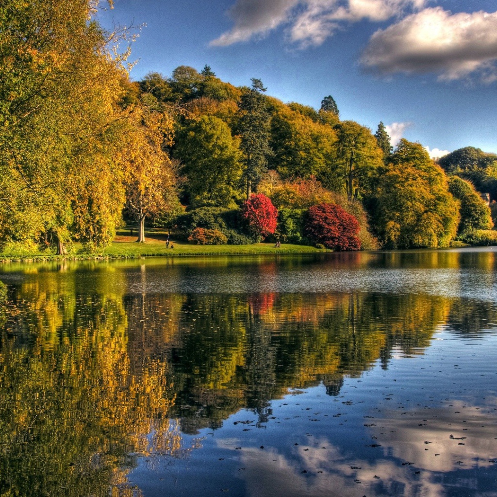 Озеро с упавшими листьями