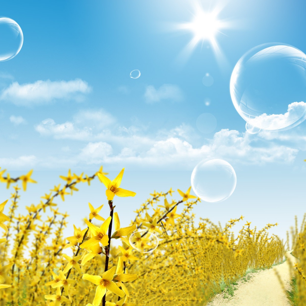 Цветы и воздушные шары под летним солнцем