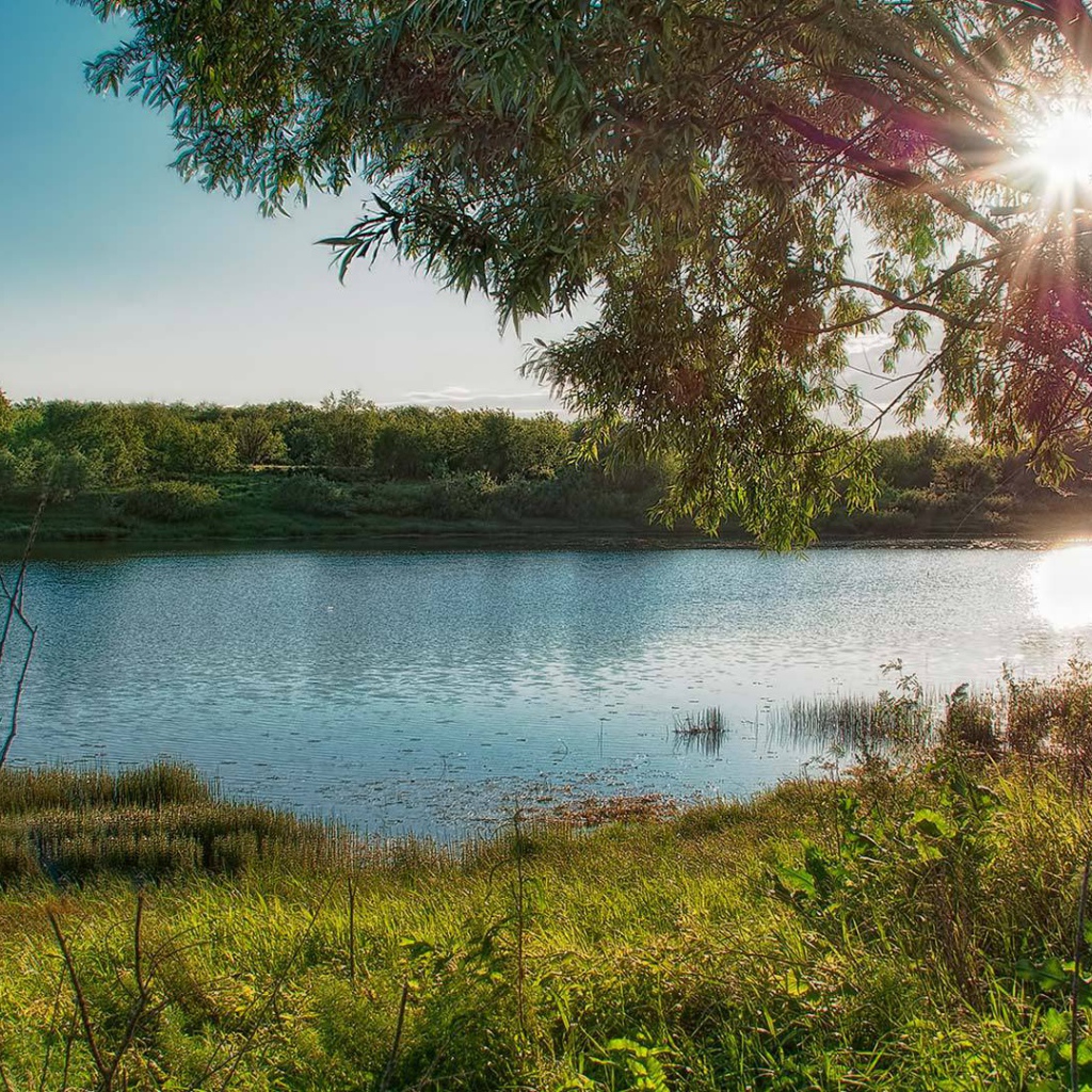 На берегу озера летом