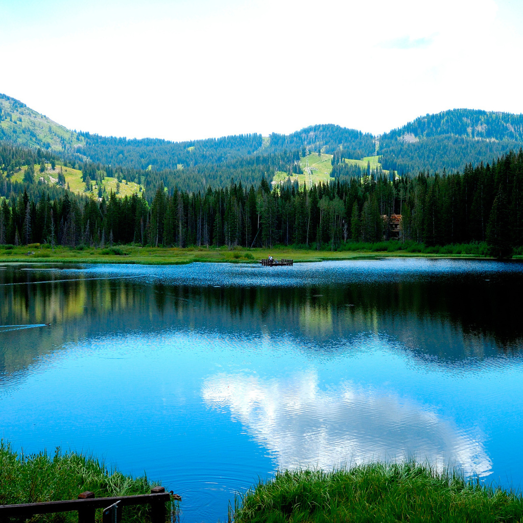 	   Mountain lake in summer