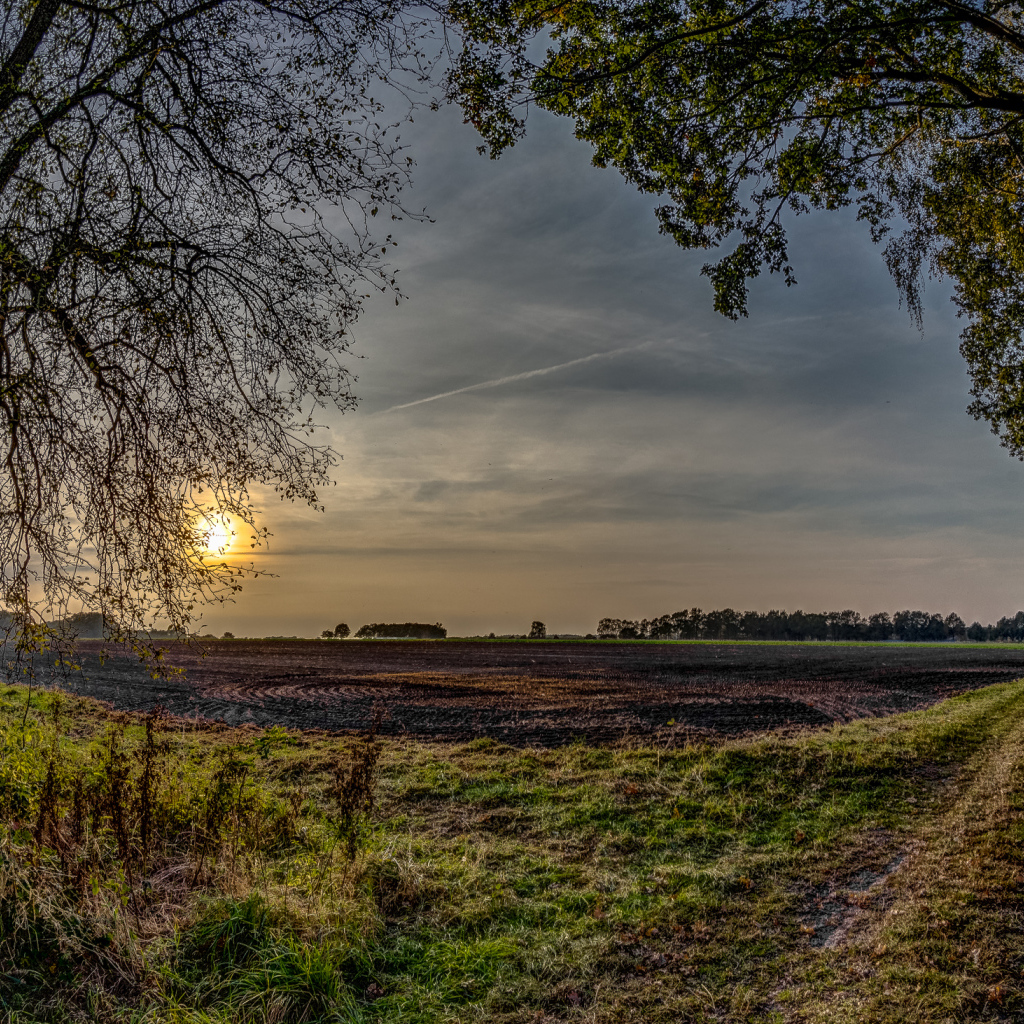 Убранное поле перед закатом