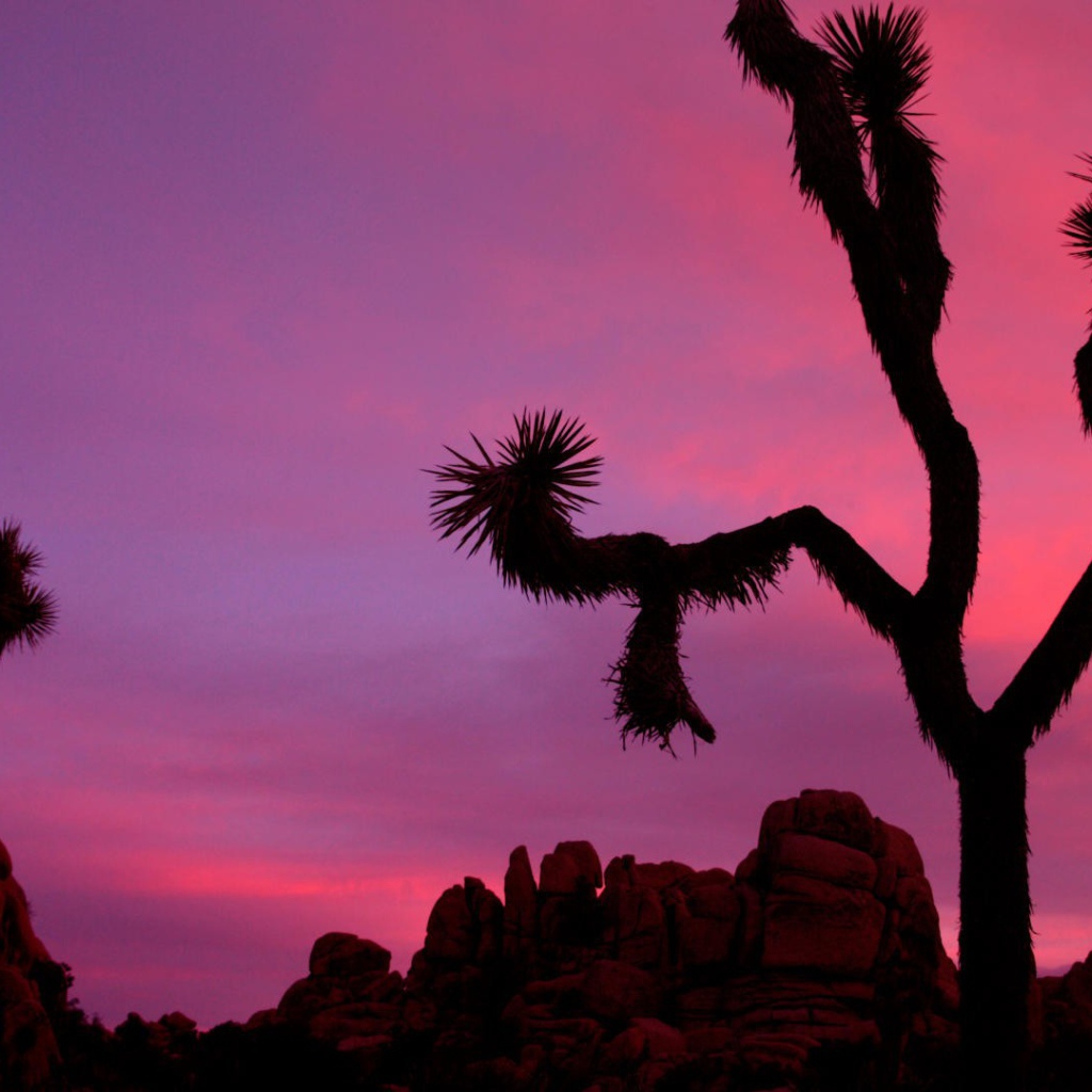 Национальный парк Калифорнии закат солнца