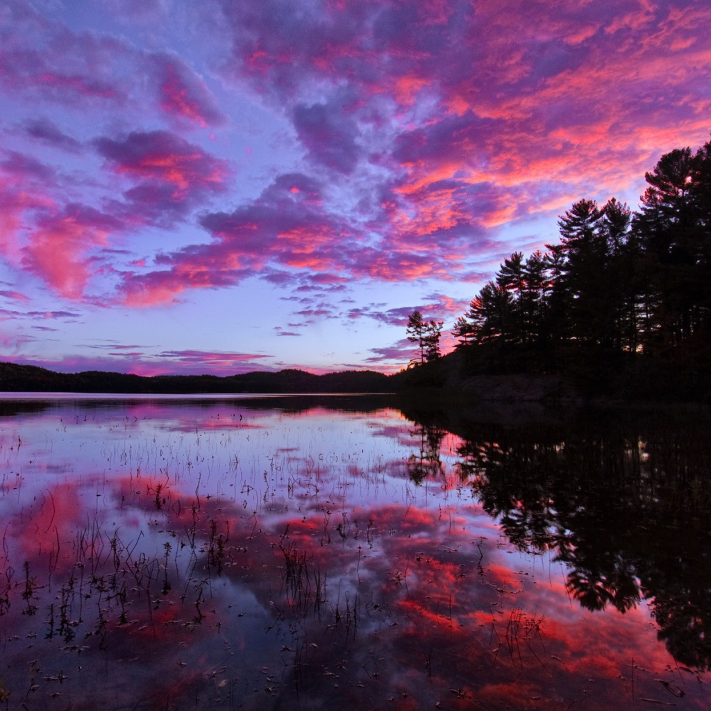 Розовый закат над озером