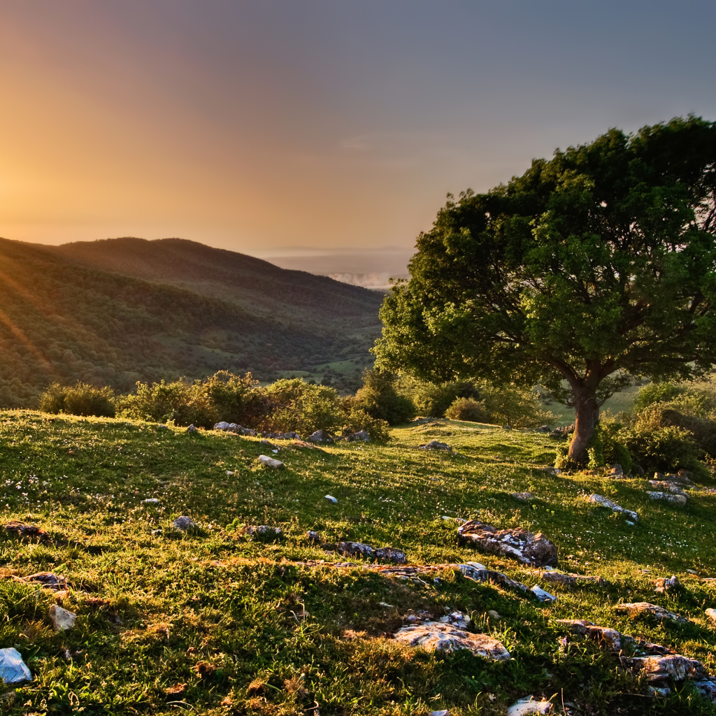 Закат в заповеднике