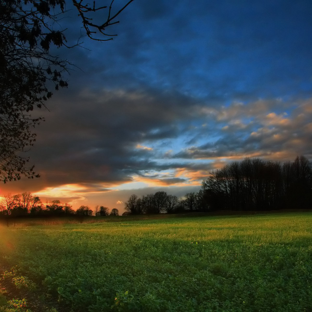 Закат на зеленом поле