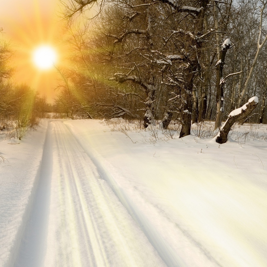 Закат на зимней дороге