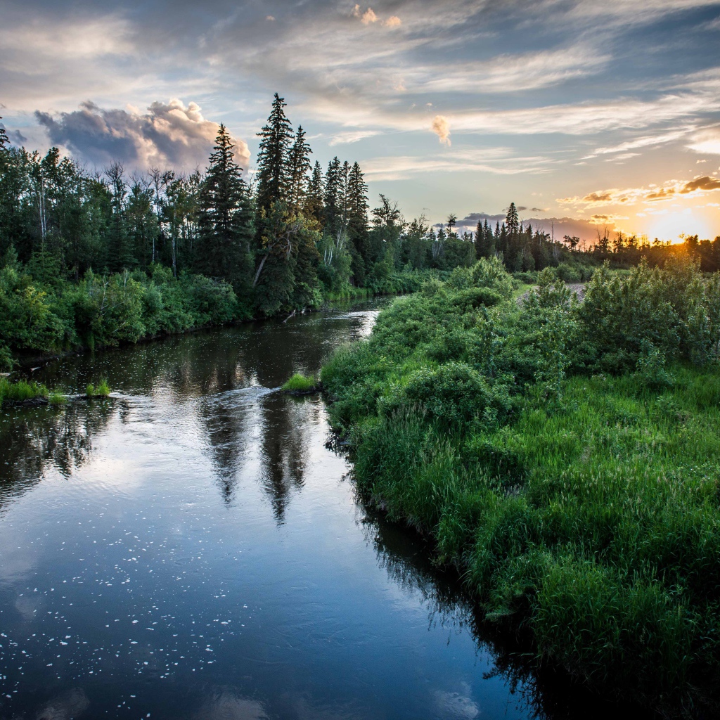 Закат над лесной рекой