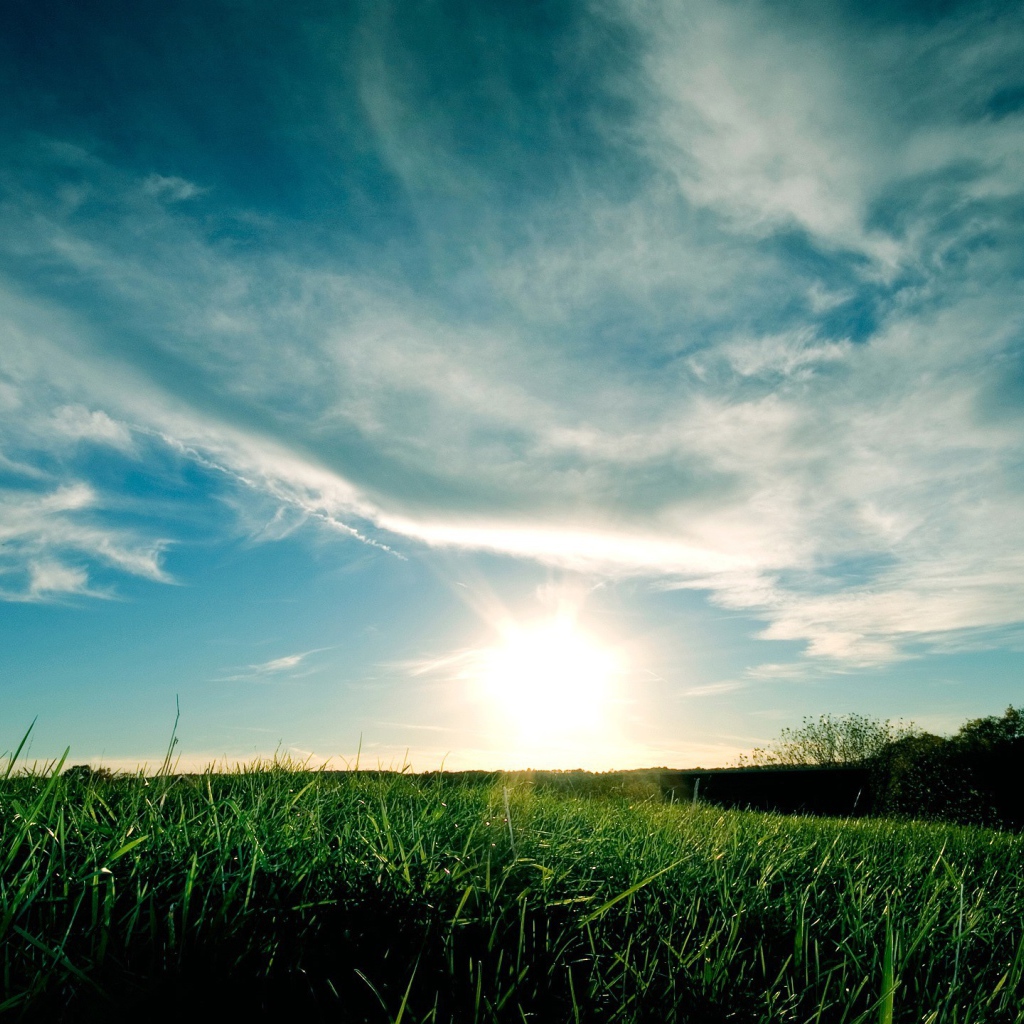 Закат над полем