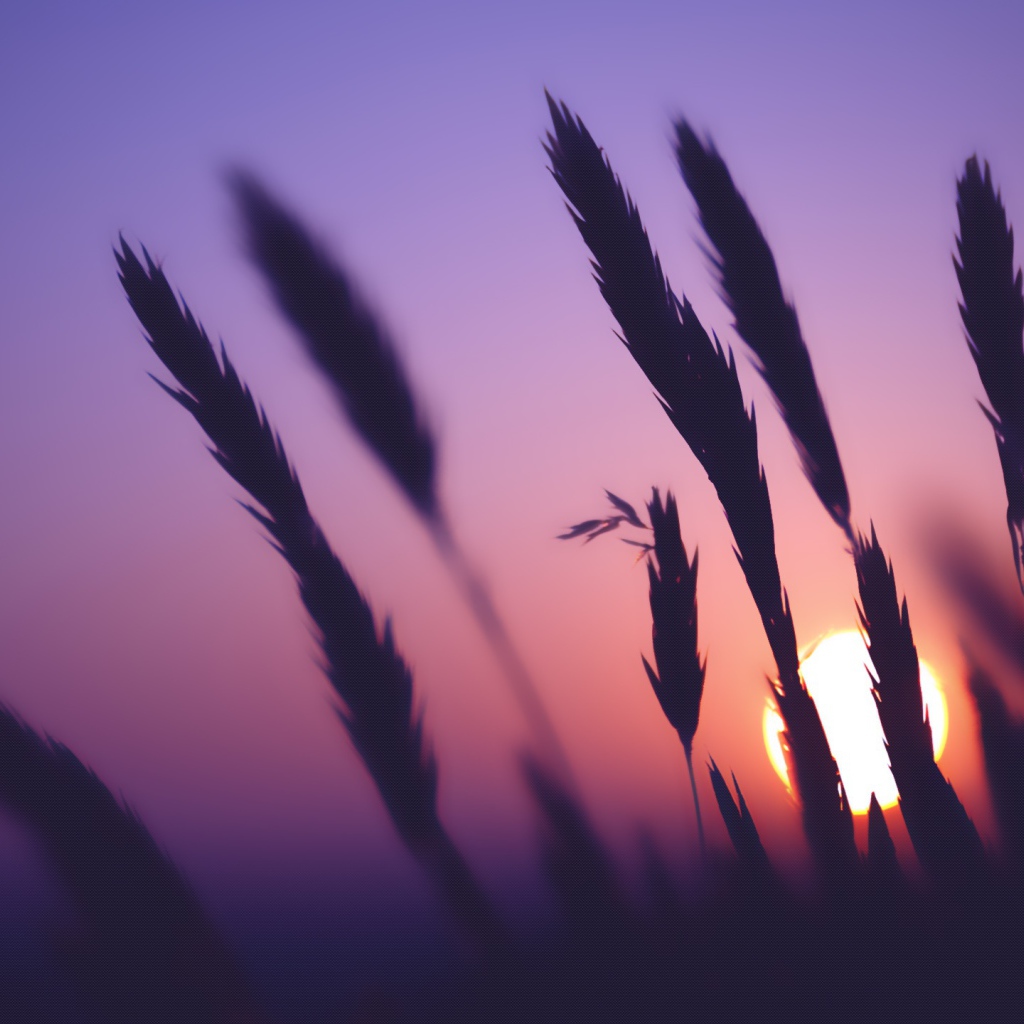 Время заката