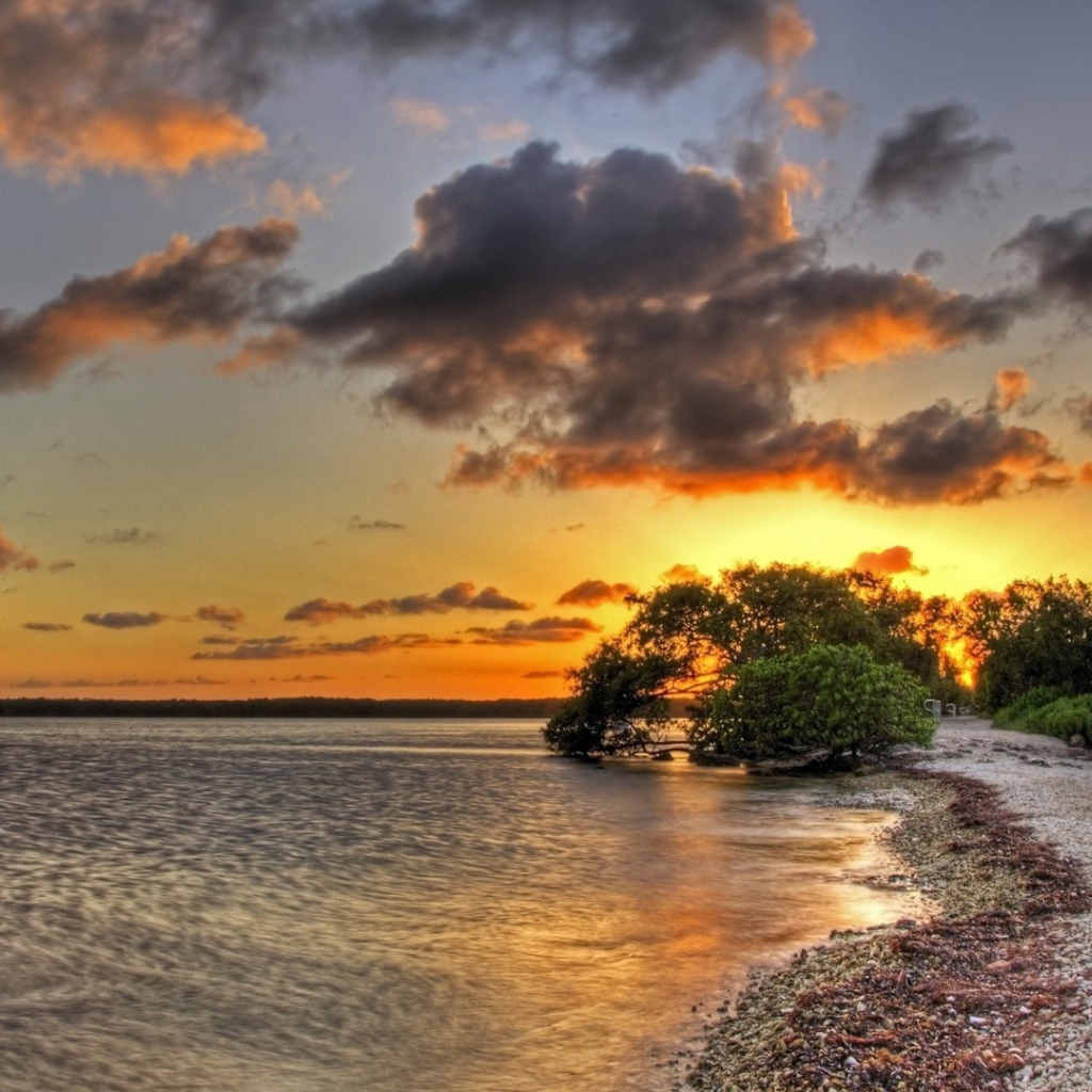 Закат над озером за деревом