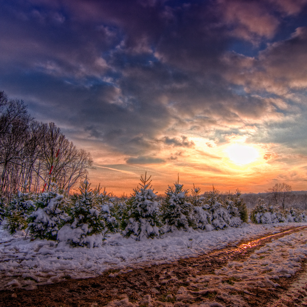 Зимняя дорога в закат