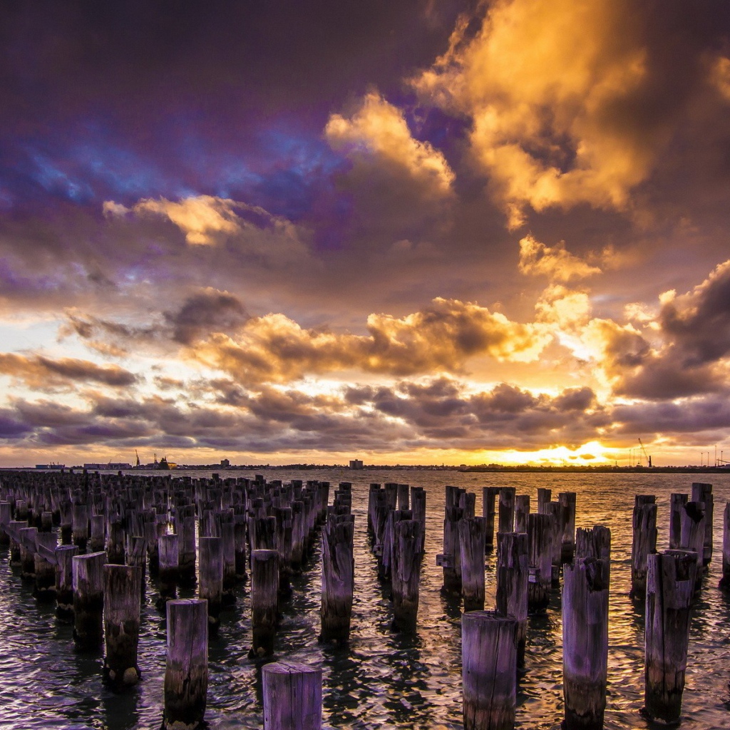 Деревянные сваи в воде