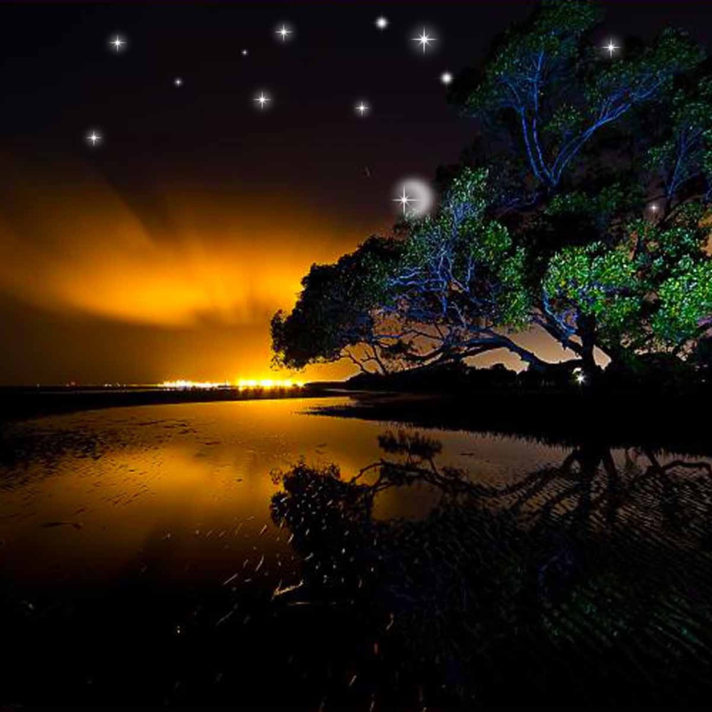 Звезды на ночном небе