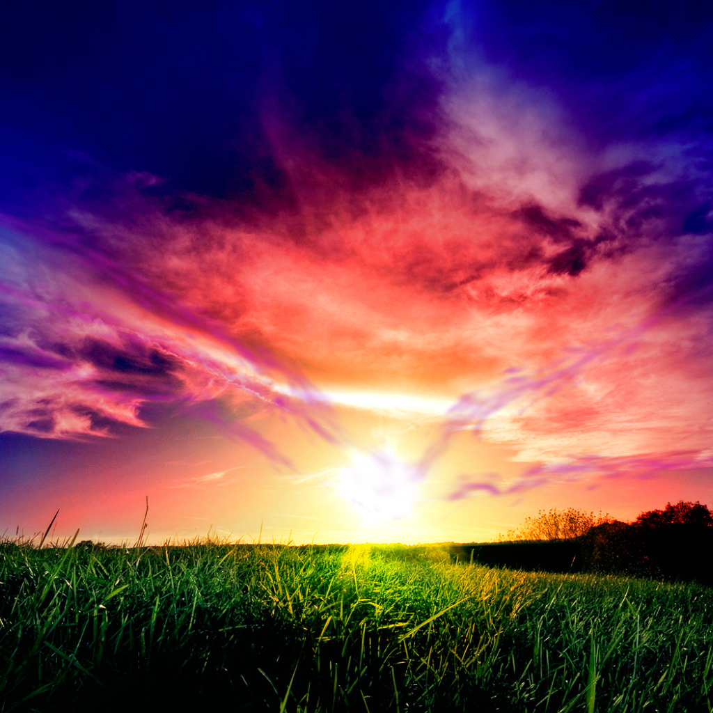 Красивый закат над полем