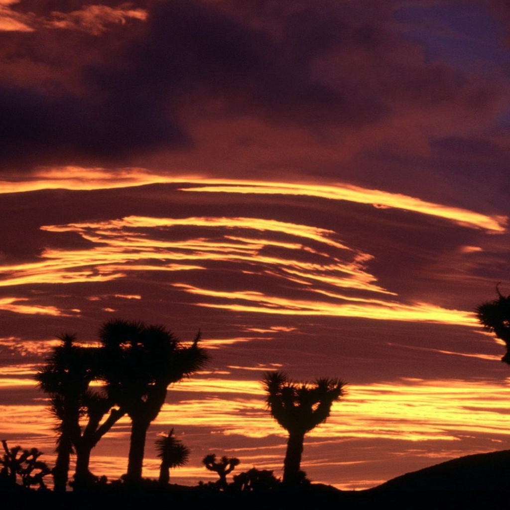 Облака на закате