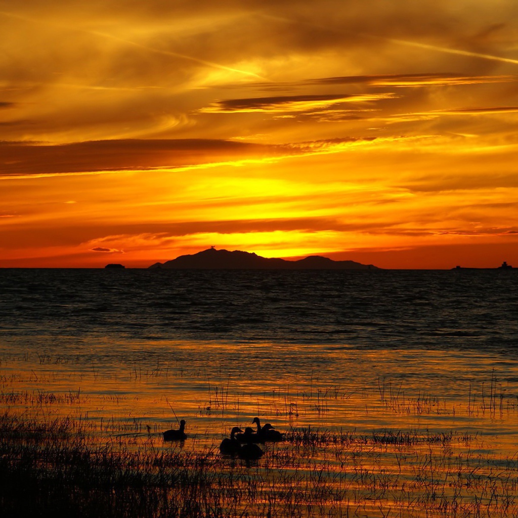 Золотой закат над озером