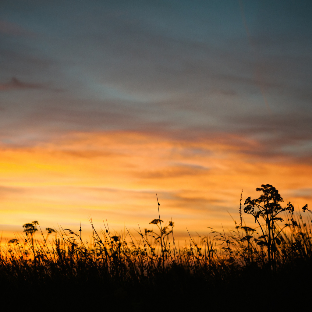 Летний закат