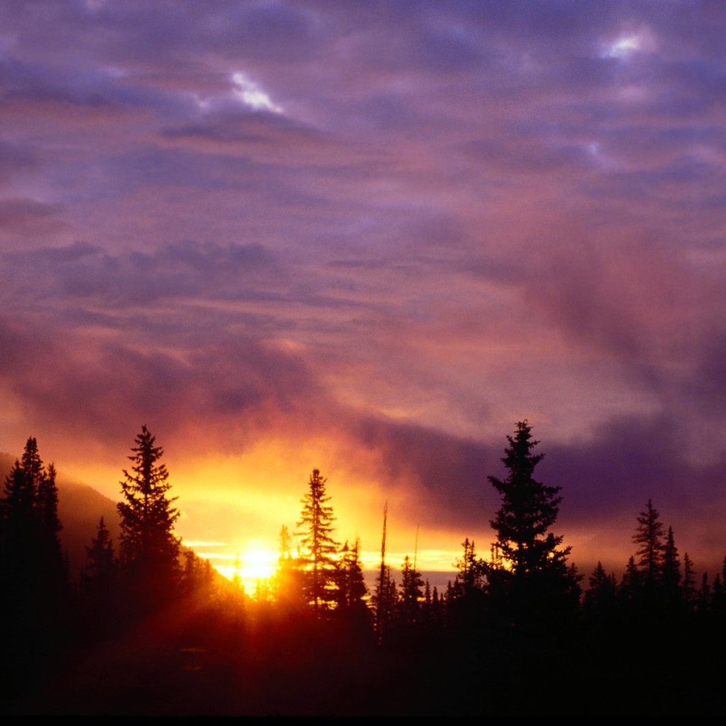 Закат в лесу