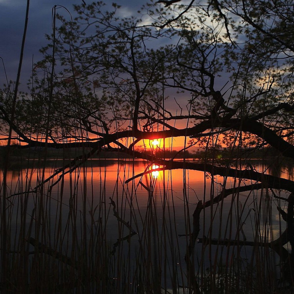 Закат на тихом озере