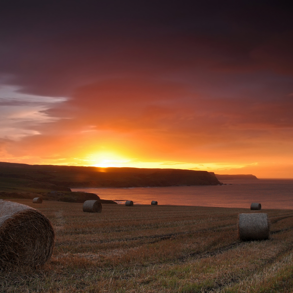 Закат на скошенном поле
