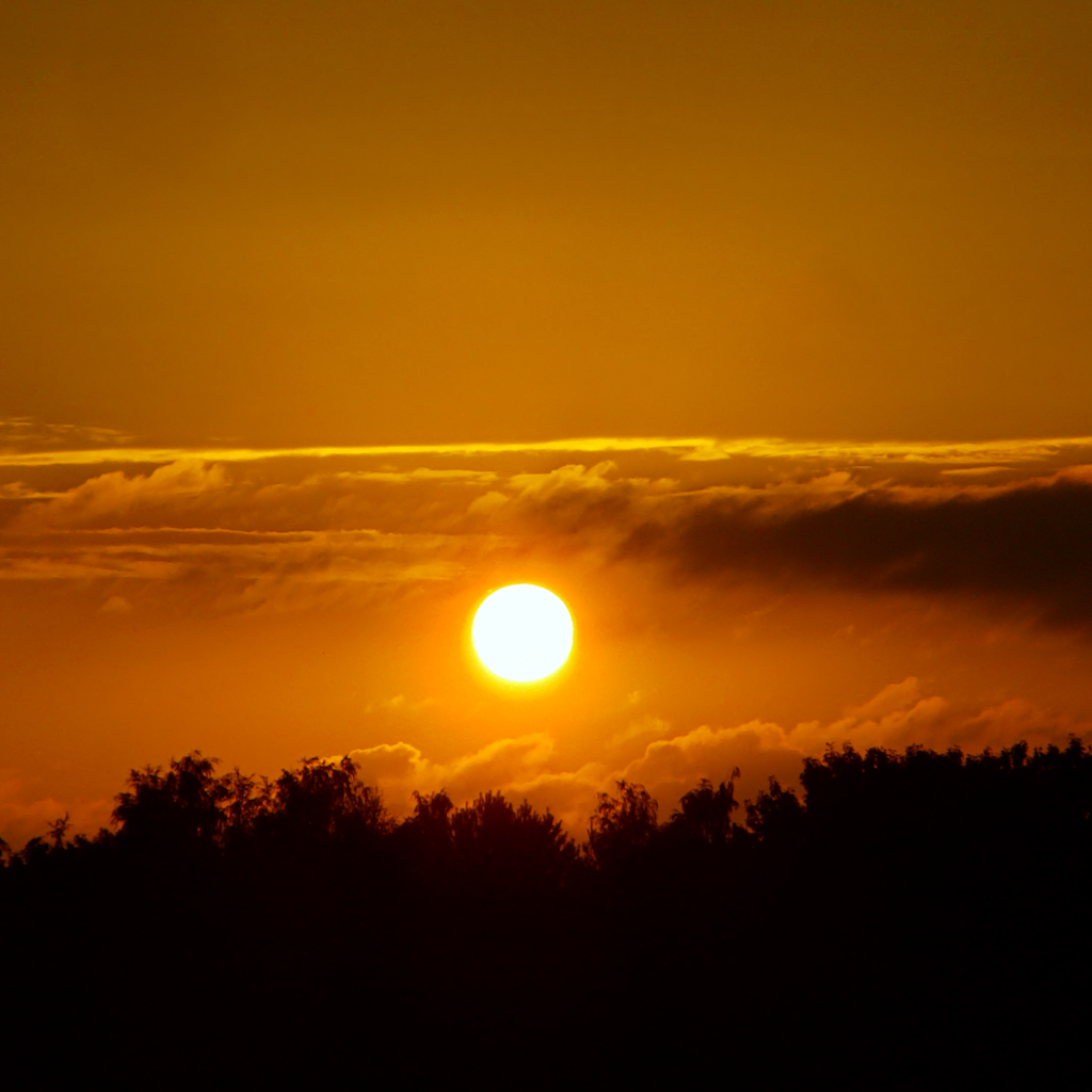 Солнце над лесом