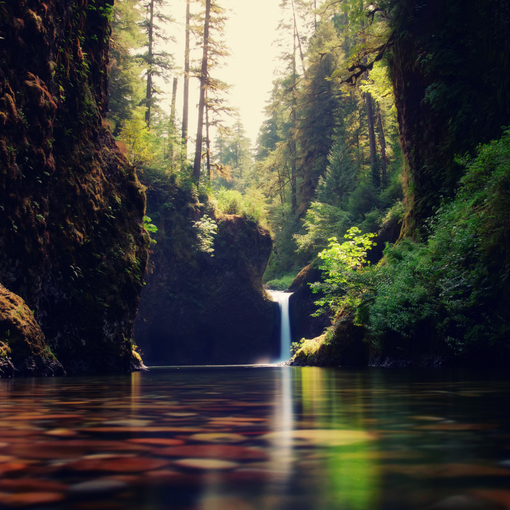 Разноцветные блики на воде