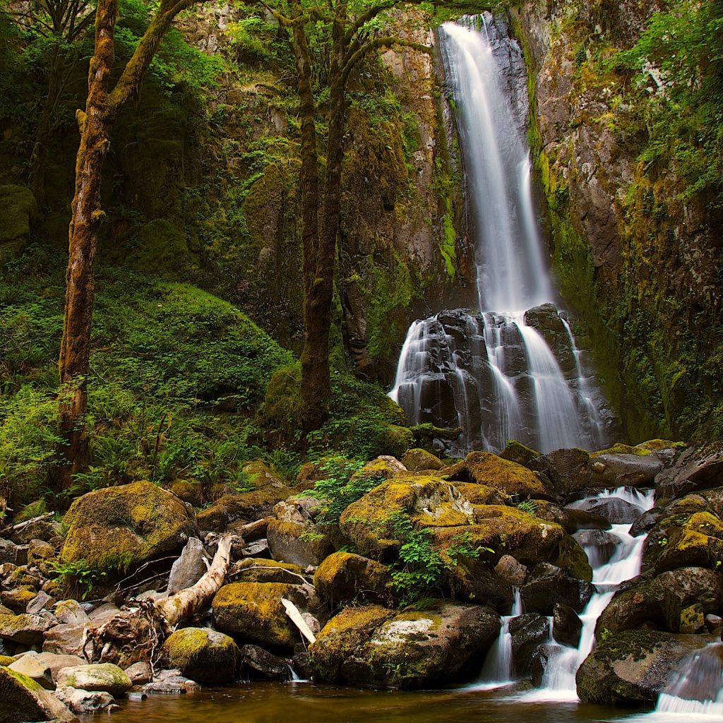 Водопад со скалы