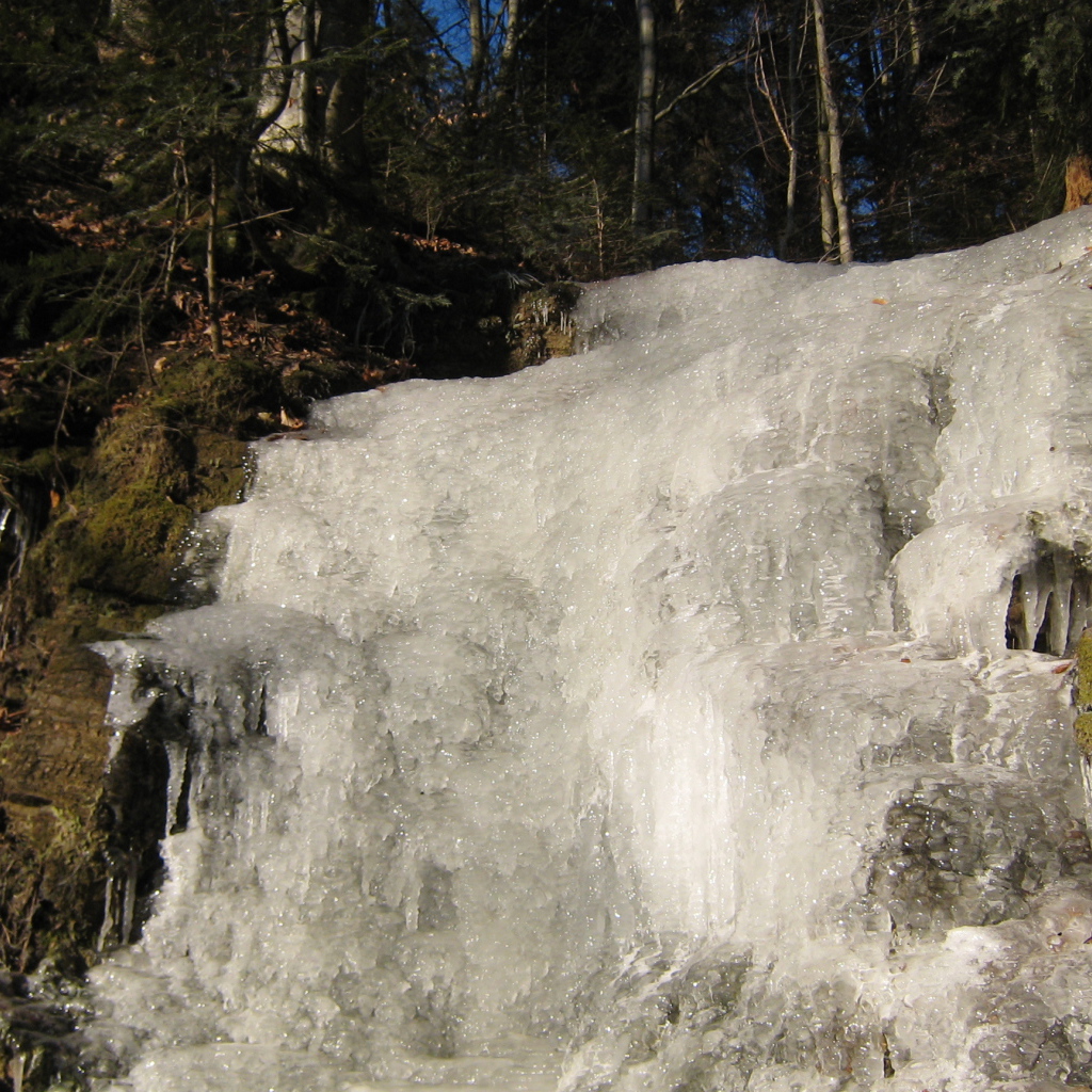 Замерзший водопад в лесу