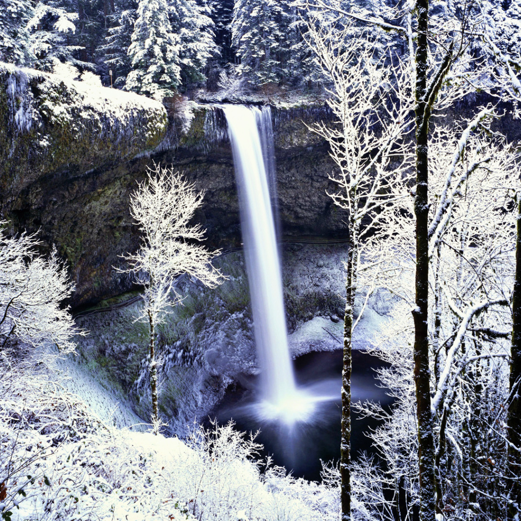Замерзший водопад в белом лесу