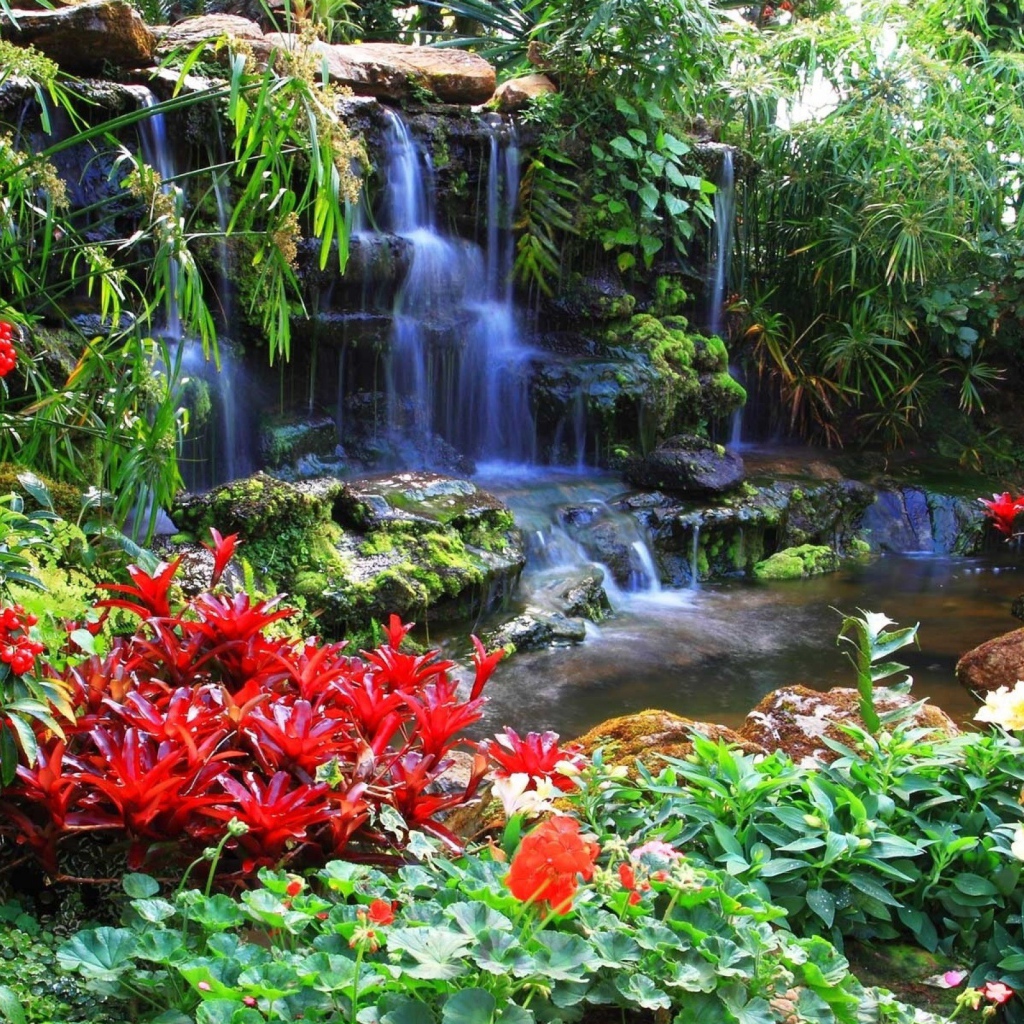 Red flowers at the waterfall