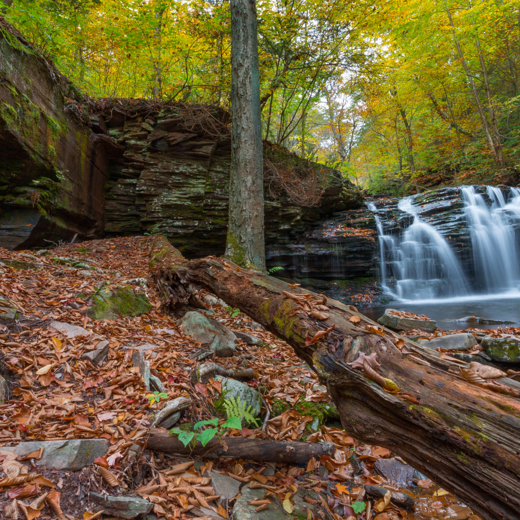Скалы с водопадом
