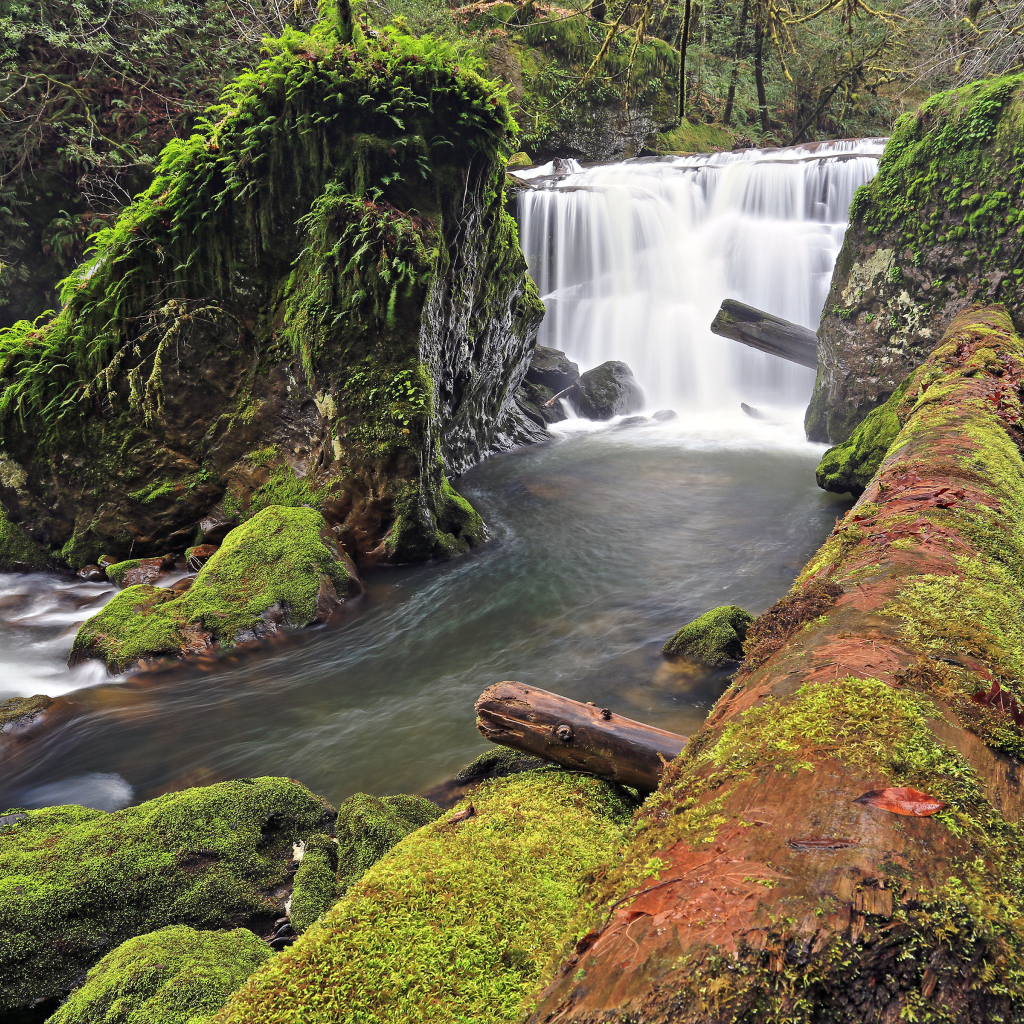 Маленький, красивый водопад в США