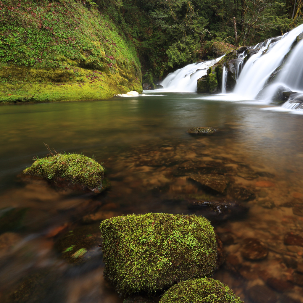Маленькие водопады в штате Орегон, США