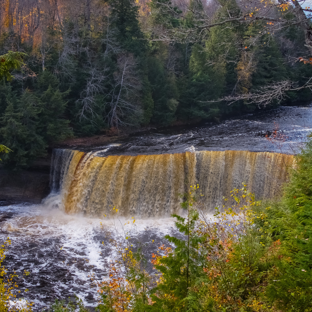 Коварный водопад среди леса