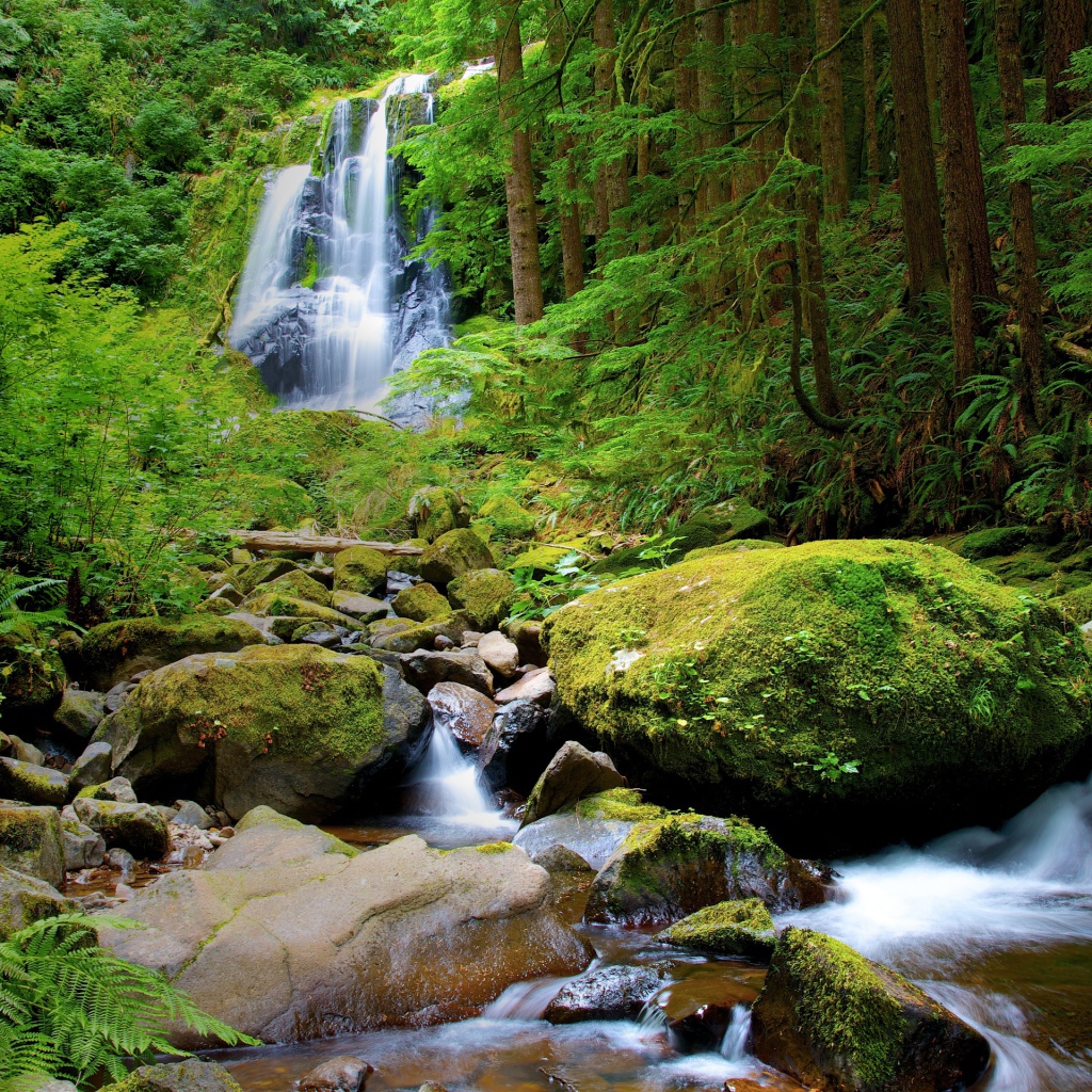 Водопад в густом лесу
