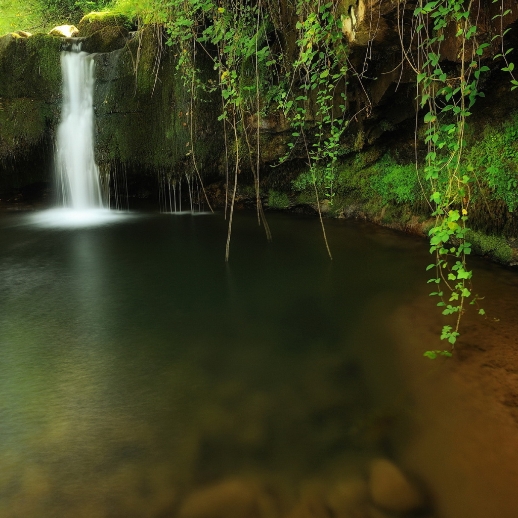 Водопад среди зеленой травы