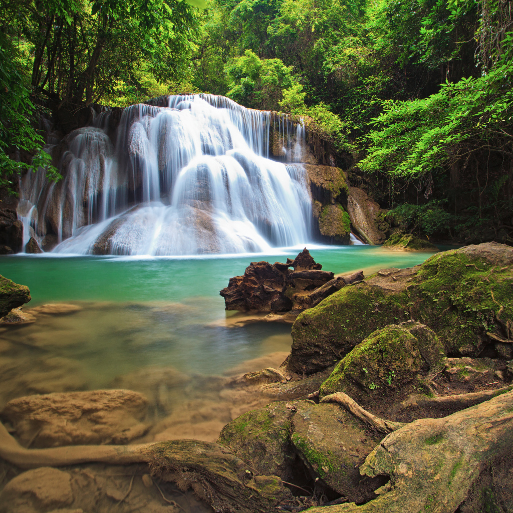 Водопад в густом лесу